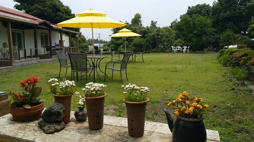 Joseph Tree Guest House Jeju Dış mekan fotoğraf