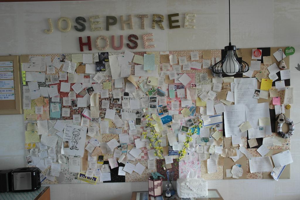 Joseph Tree Guest House Jeju Dış mekan fotoğraf
